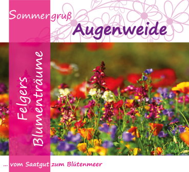 F5 - Augenweide