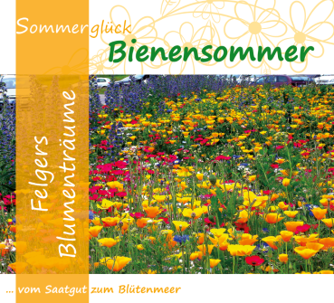 F2 - Bienensommer