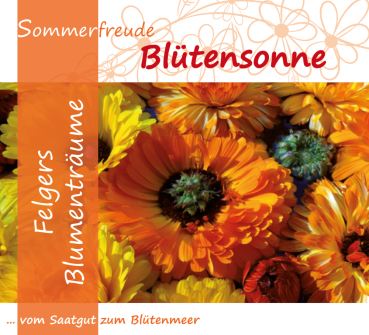 F7 - Blütensonne