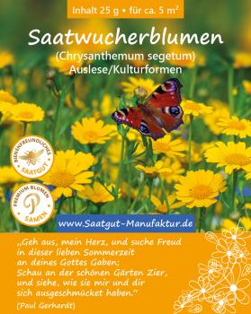 Saatwucherblumen (Chrysanthemum segetum)