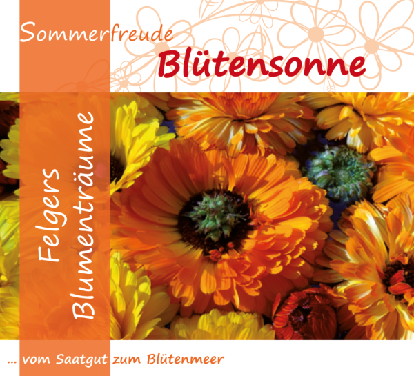 F7 - Blütensonne