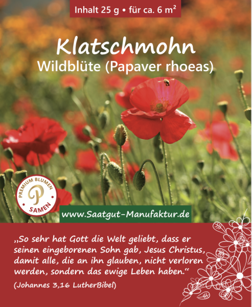 Klatschmohn (Papaver rhoeas)