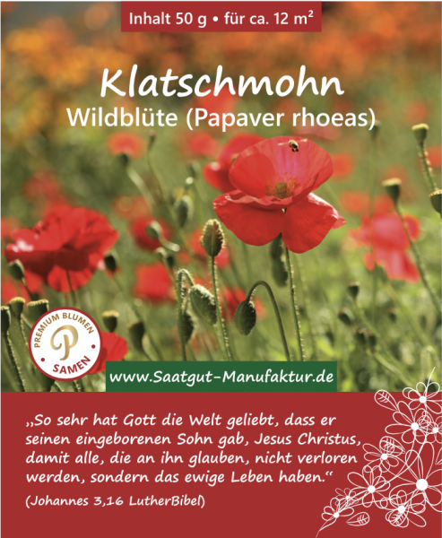 Klatschmohn (Papaver rhoeas)