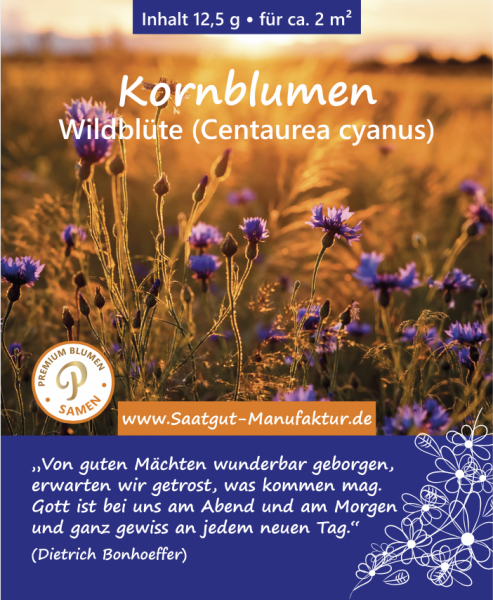 Kornblumen (Centaurea cyanus)
