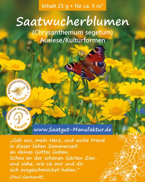 Saatwucherblumen (Chrysanthemum segetum)